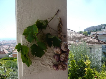 l'ail et le raisin du jardin